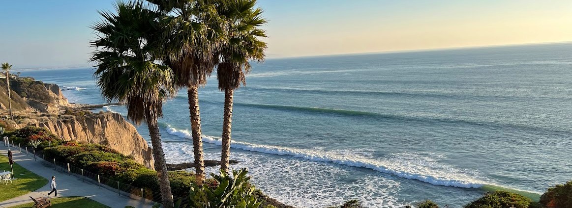 Two palm trees on the coast of the pacific ocean. photo taken by Kim DeRushia, Psychologist in Stockton California